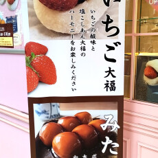 いちご大福やこしあん入りみたらし団子が人気「和菓子　喜楽庵」が7月6日（月）まで限定出店！！