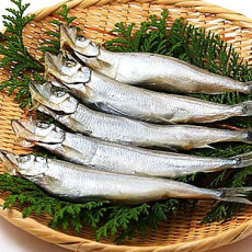 〈うまい魚屋ほうさく〉期間限定出店