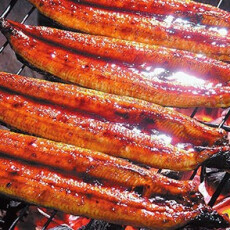 〈高知の魚家さん〉期間限定出店