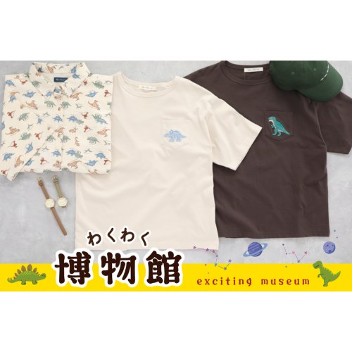 わくわく博物館🦕🦖