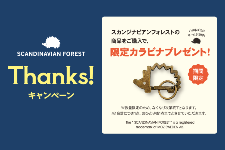 🦔スカンジナビアンフォレスト　サンクスキャンペーン🦔